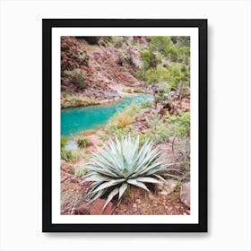 Turquoise Cactus River Art Print