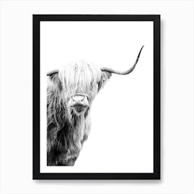 Highland Cow 5 Art Print