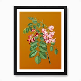 Vintage Robinier Rose Bloom Botanical on Sunset Orange n.0542 Art Print