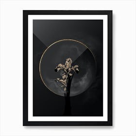 Shadowy Vintage Iris Persica Botanical in Black and Gold Art Print