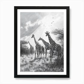 Pencil Portrait Herd Of Giraffes In The Wild  3 Art Print