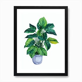 Dumb Cane (Dieffenbachia) Watercolor Art Print