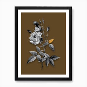 Vintage Common Rose of India Black and White Gold Leaf Floral Art on Coffee Brown n.0520 Art Print