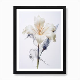 Pressed Flower Botanical Art Lily 2 Art Print