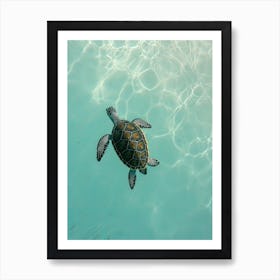 Sea Turtle Swimming 0 Art Print