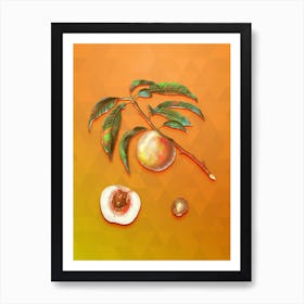 Vintage White Speckled Peach Botanical Art on Tangelo n.0227 Art Print