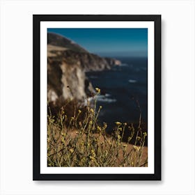 Big Sur Wild Flowers II Art Print