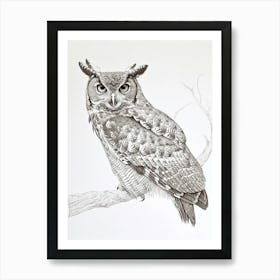 African Wood Owl Drawing 1 Art Print