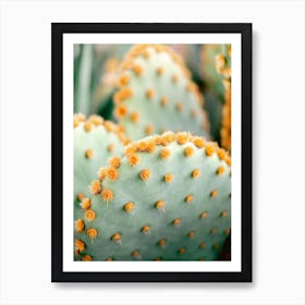 Orange And Green 2 Marrakech Botanical Photography Art Print