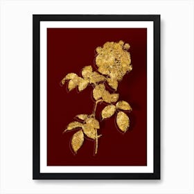 Vintage Seven Sisters Roses Botanical in Gold on Red n.0122 Art Print
