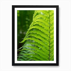 Green fern leaf, summer dream Art Print