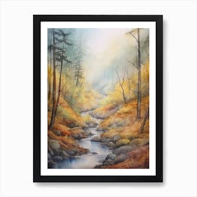 Autumn Forest Landscape Muir Woods National Park Art Print