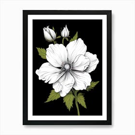 Anemone Flower 1 Art Print