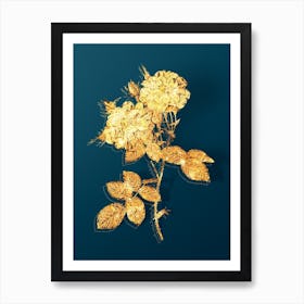 Vintage White Damask Rose Botanical in Gold on Teal Blue n.0350 Art Print