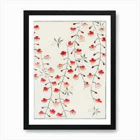 Cherry Blossom Illustration, Shin Bijutsukai Art Print