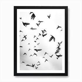 Flight And Freedom 05 Art Print