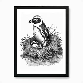 African Penguin Nesting 3 Art Print
