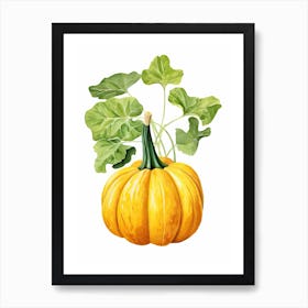 Delicata Squash Pumpkin Watercolour Illustration 3 Art Print