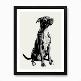 Black And White Dog 1 Art Print