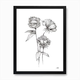 Black and White Peonies Art Print