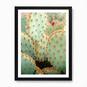 Orange And Green Marrakech Botanical Photography Art Print