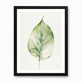 Potato Leaf Minimalist Watercolour 3 Art Print