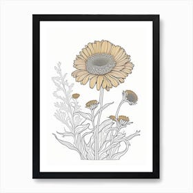 Calendula Herb William Morris Inspired Line Drawing 1 Art Print