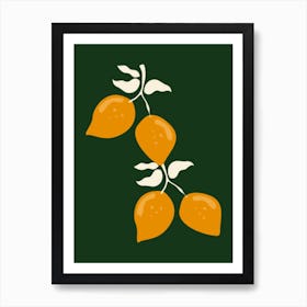 Three Oranges On A Branch Art Print