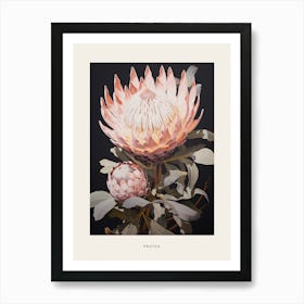 Flower Illustration Protea 11 Poster Art Print