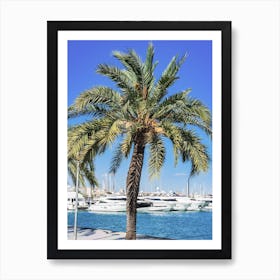 Palma de Mallorca Palm Tree In Front Of Marina Art Print