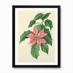 Poinsettia Vintage Botanical Flower Art Print