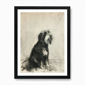  Bearded Collie Dog Charcoal Line 2 Art Print