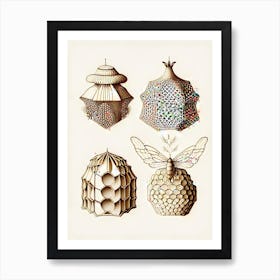 Types Of Beehive 4 Vintage Art Print