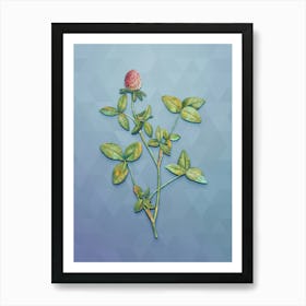 Vintage Pink Clover Botanical Art on Summer Song Blue n.0663 Art Print