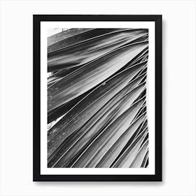 Black And White Palm Leaf 1 Art Print