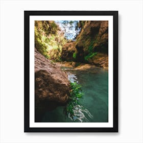 Water In The Canyon Art Print