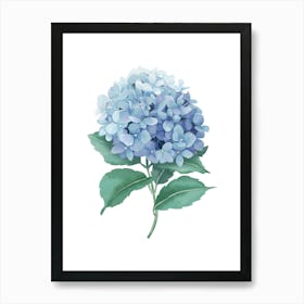 Hydrangea Art Print