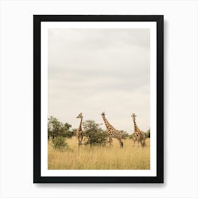 Giraffes in Uganda Art Print