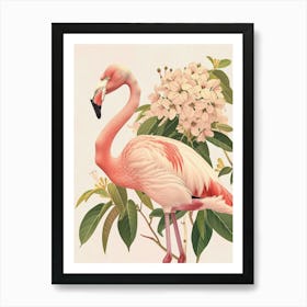 Lesser Flamingo And Bougainvillea Minimalist Illustration 4 Art Print