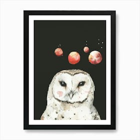 Barn Owl 3 Art Print