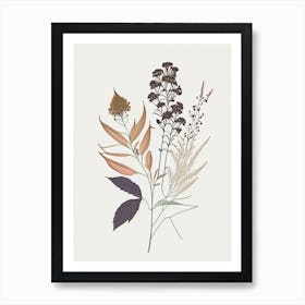 Boneset Spices And Herbs Minimal Line Drawing 1 Art Print