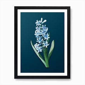 Vintage Dutch Hyacinth Botanical Art on Teal Blue Art Print