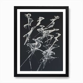 'Flora' Art Print