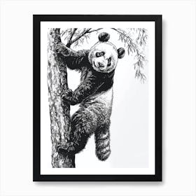 Giant Panda Cub Climbing A Tree Ink Illustration 3 Art Print