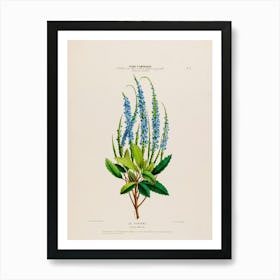 Lily Of The Valley 8 Art Print