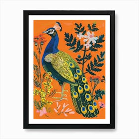 Spring Birds Peacock 2 Art Print