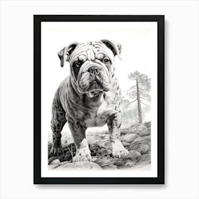 Paws & Poses Art Print