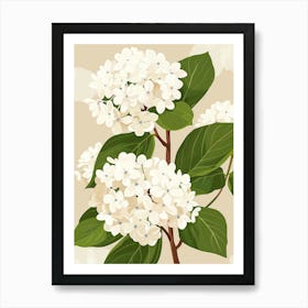 White Hydrangeas On A Branch Art Print