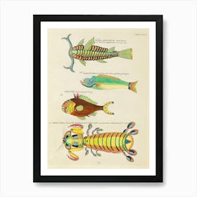 Colourful And Surreal Illustrations Of Fishes And Other Marine Life Found In Moluccas (Indonesia) And The East Indies, Louis Renard(47) Art Print