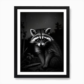 Raccoon At Night Art Print